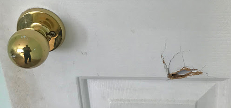 interior door hole repair San Rafael